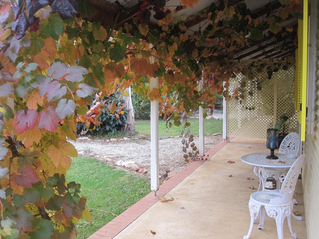 เอมิส เฮาส์ Bed & Breakfast Auburn ภายนอก รูปภาพ