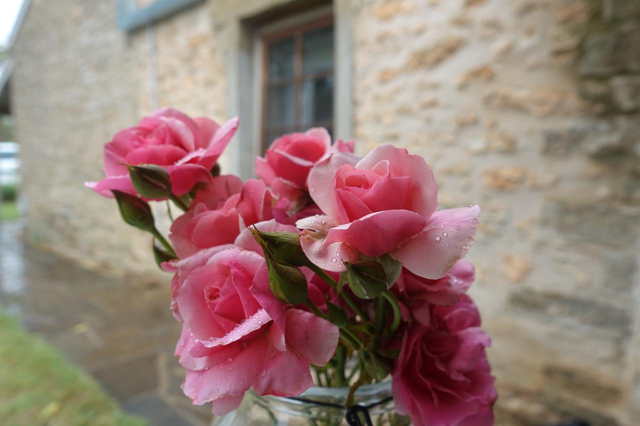 เอมิส เฮาส์ Bed & Breakfast Auburn ภายนอก รูปภาพ