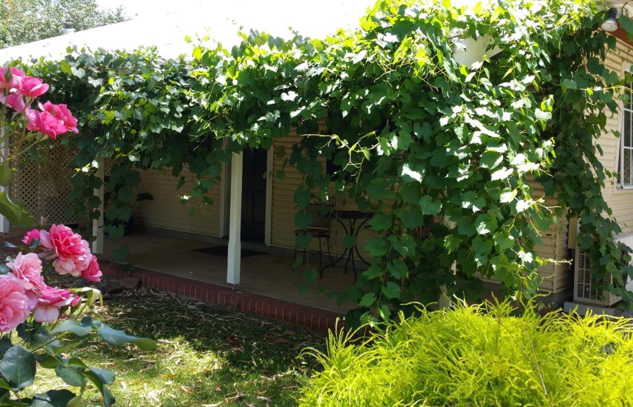 เอมิส เฮาส์ Bed & Breakfast Auburn ภายนอก รูปภาพ